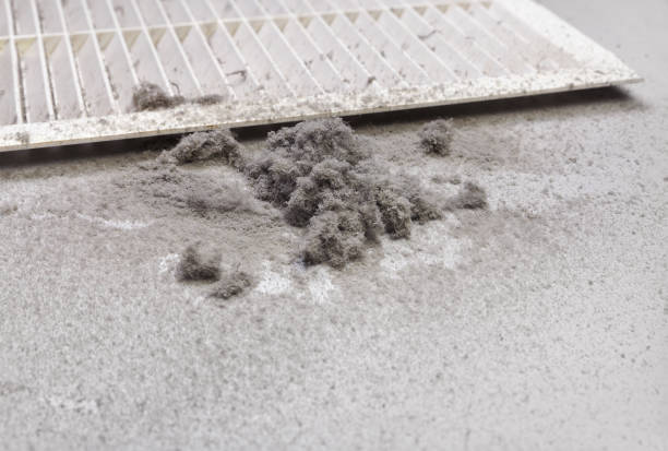 Best Air Duct Cleaning Near Me  in Palm Valley, FL