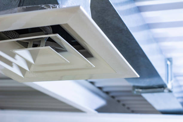 Best HVAC Duct Inspection Services  in Palm Valley, FL