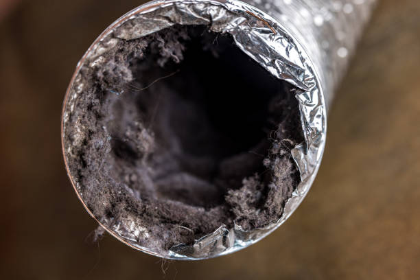 Best Affordable HVAC Duct Cleaning  in Palm Valley, FL