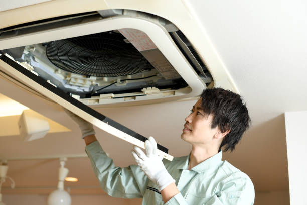 Best Home Air Vent Cleaning  in Palm Valley, FL