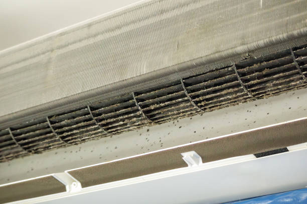 Best HVAC Air Duct Cleaning  in Palm Valley, FL